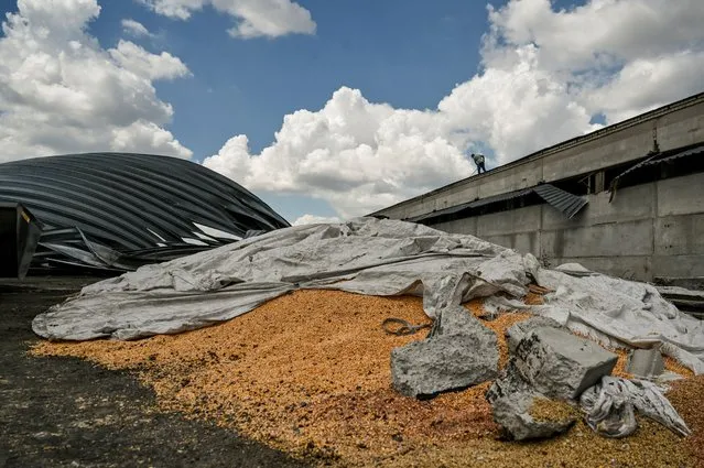 Wheat grains are seen at a place of a storage destroyed by a Russian military strike, as Russia's attack on Ukraine continues, in the village of Yulivka, Zaporizhzhia region, Ukraine on July 27, 2022. (Photo by Dmytro Smolienko/Reuters)