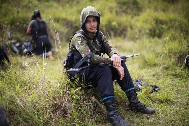 In this January 6, 2016 file photo, Juliana, a 20-year-old rebel fighter for the 36th Front of the Revolutionary Armed Forces of Colombia, or FARC, rests from a trek in the northwest Andes of Colombia, in Antioquia state. A battle is brewing between Colombia’s chief prosecutor and what was recently the nation’s largest rebel group over just how much money and property it owns as the former guerrillas transition into becoming a political party. The Revolutionary Armed Forces of Colombia submitted a list of belongings on August 2017, that included farms, cattle and items as miniscule as mops and juice squeezers as required under a peace agreement earlier this month. (Photo by Rodrigo Abd/AP Photo)