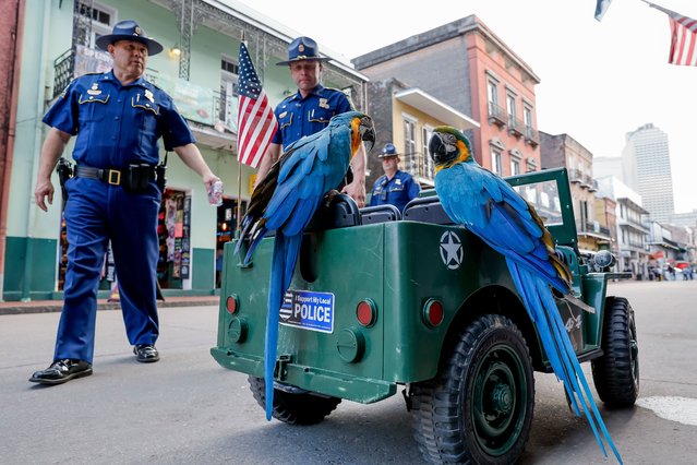 Members of the Louisiana State Police walk by blue and gold macaws on a jeep remote controlled by a street performer, as they provide enhanced security along Bourbon Street in the French Quarter during activities for the National Football League's Super Bowl LIX in New Orleans, Louisiana, USA, 05 February 2025. The AFC champion Kansas City Chiefs face the NFC champion Philadelphia Eagles in Super Bowl LIX at Caesars Superdome in New Orleans, Louisiana, 09 February 2025. (Photo by Erik S Lesser/EPA/EFE)