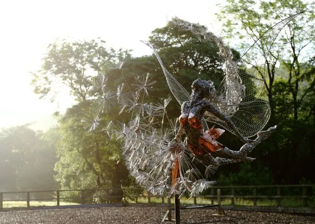 Fantasy Wire Fairies Sculptures By Robin Wight