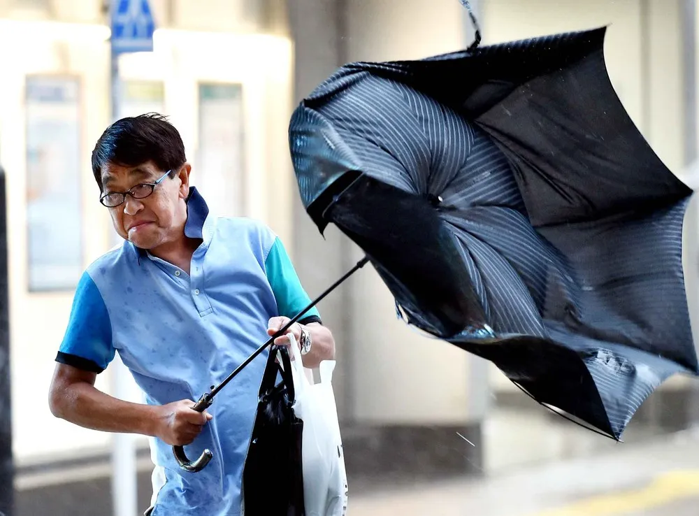 The Week in Pictures: October 4 – October 11, 2014. Part 6/6