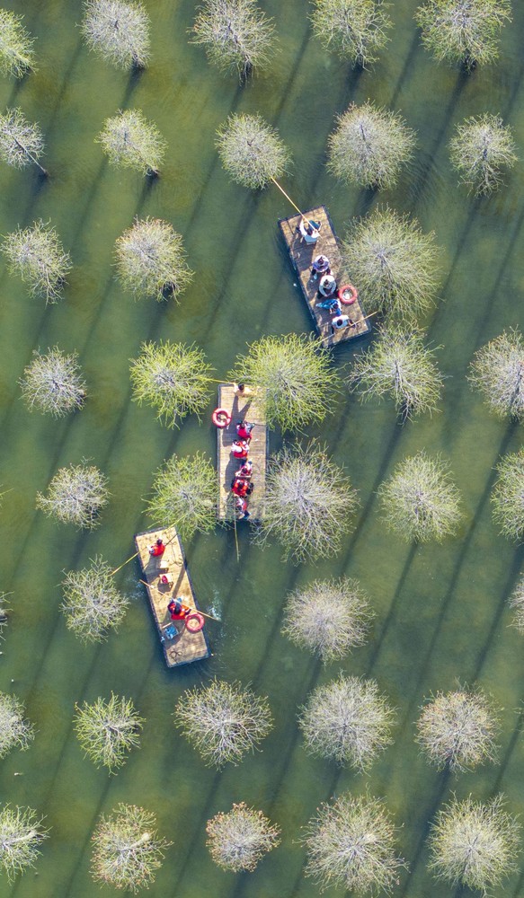 A Look at Life in China