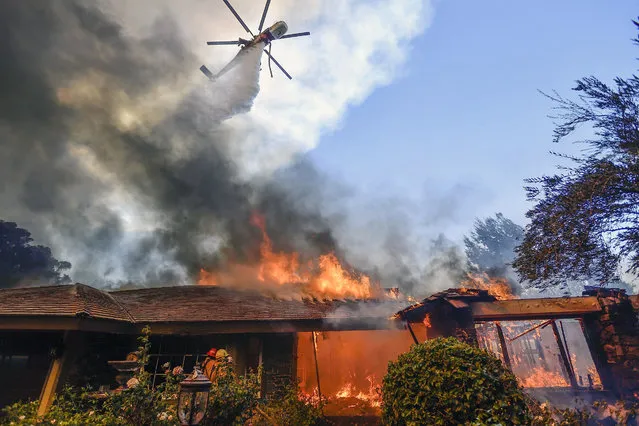 A helicopter dumps water on a home as firefighters battle a wildfire in the affluent Anaheim Hills neighborhood of Anaheim, Calif., on October 9, 2017. (Photo by Jeff Gritchen/The Orange County Register via AP Photo)