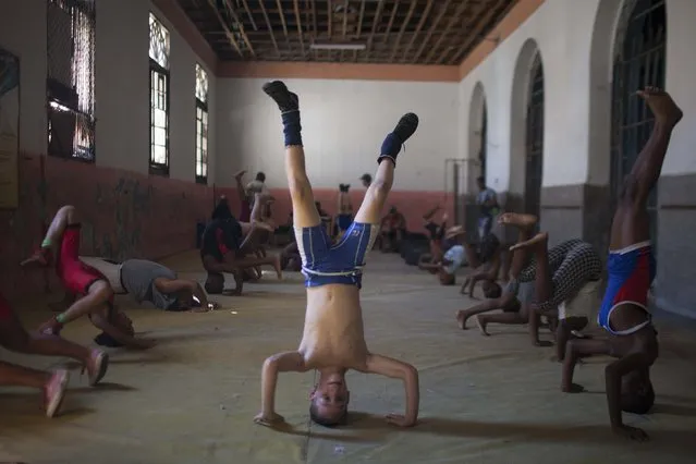 Oscar Torres, 9, (C) leads an exercise during a wrestling lesson in downtown Havana, October 30, 2014. (Photo by Alexandre Meneghini/Reuters)