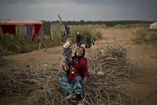 Syrian refugee Fatima Jassim, 40, plays with her 7-month-old daughter Marwa while sitting on a pile of wood to be used for cooking, outside their tent at an informal tented settlement near the Syrian border on the outskirts of Mafraq, Jordan, Monday, October 19, 2015. (Photo by Muhammed Muheisen/AP Photo)