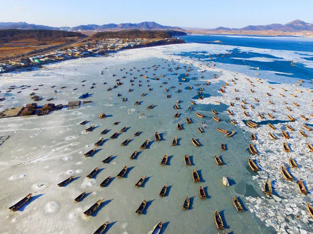 An aerial view of massive fishing ships and boats trapped on the frozen water of Huanghai Sea in Liaoning province, Dalian city, China on February 4, 2018. Fishing boats were frozen among sea ice in the surrounding waters of Huanghai Sea near Dalian city, northeast China's Liaoning province. Sea ice was formed in the region due to continuous low temperature. (Photo by Imaginechina/Rex Features/Shutterstock)