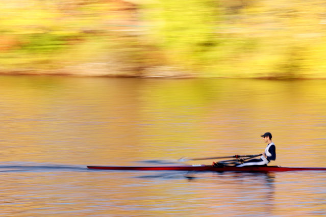 Gavin O'Dwyer competes in the Head of the Charles Regatta 2025 on the Charles River on October 18, 2025 in Cambridge, Massachusetts. (Photo by Maddie Meyer/Getty Images)