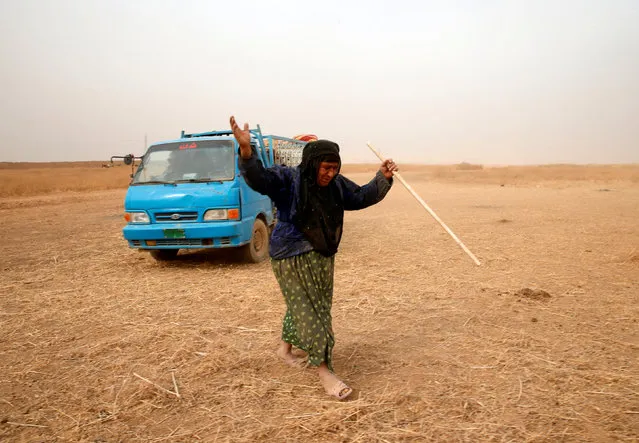 A displaced elderly Iraqi woman walks after escaping from Islamic State controlled village of Abu Jarboa during clashes with IS militants near Mosul, Iraq November 1, 2016. (Photo by Ahmed Jadallah/Reuters)