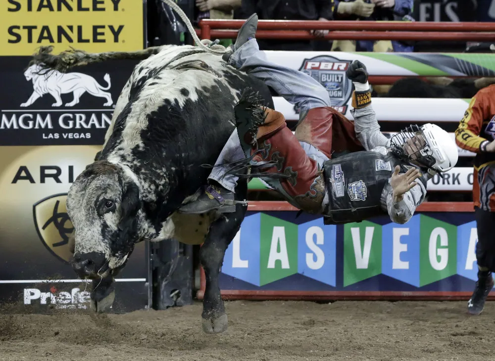 The Professional Bull Riders Buck Off