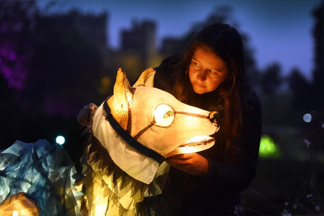 Anna Lomas of Wild Rumpus prepares an illuminated wolf puppet for its debut in The Glittering North at Raby Castle, Co Durham in North East England on October 10, 2024. The outdoor performance, from Saturday October 12, seeks to bring to life the region’s Norse and Viking heritage with music, dance and light. (Photo by Guzelian)