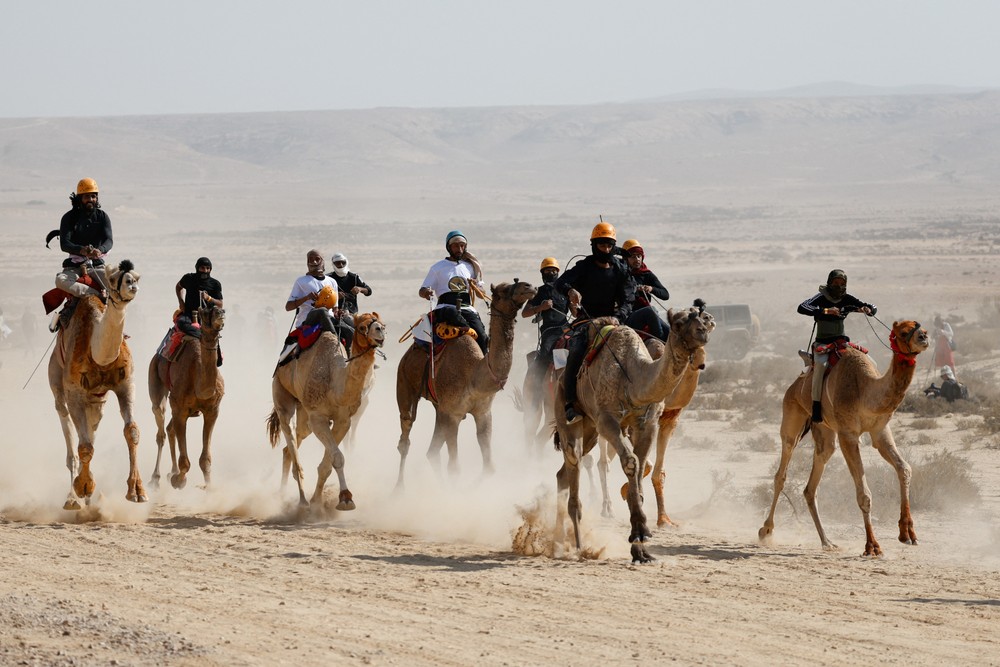 Pictures of the Year 2024, Part 212/2406