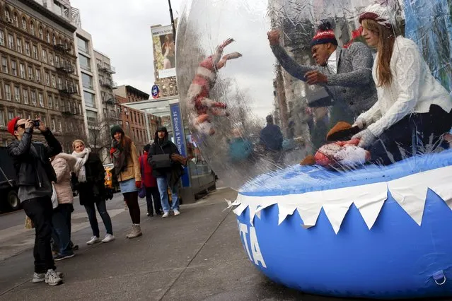 Commuters react as members of People for the Ethical Treatment of Animals (PETA) strike prop sheep inside a inflatable snow globe in Manhattan, New York December 18, 2015. The activists were staging the event in an “Effort to alert consumers to the reality that sheep are beaten, punched, kicked, and even killed by impatient shearers in the wool industry”, a PETA press release stated. (Photo by Adrees Latif/Reuters)