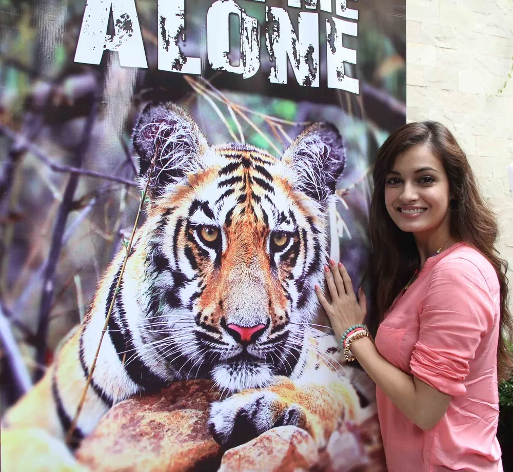 India Launches “Leave me Alone” Campaign to Save Indian Tigers