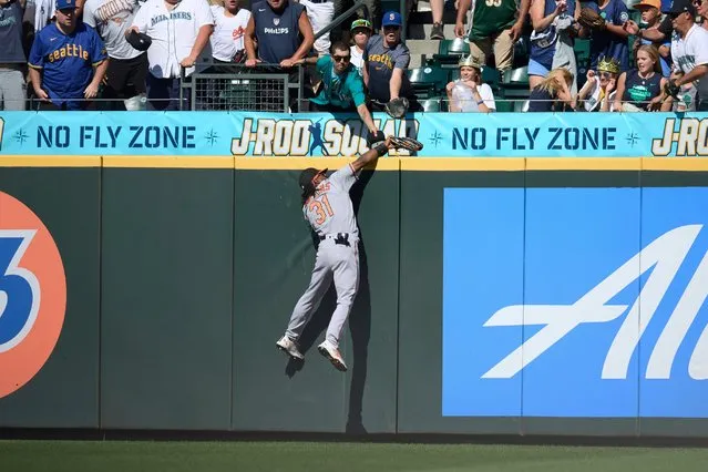 Baltimore Orioles center fielder Cedric Mullins catches a ball hit by Seattle Mariners' Ty France over the fence during the ninth inning of a baseball game, Sunday, August 13, 2023, in Seattle. (Photo by John Froschauer/AP Photo)