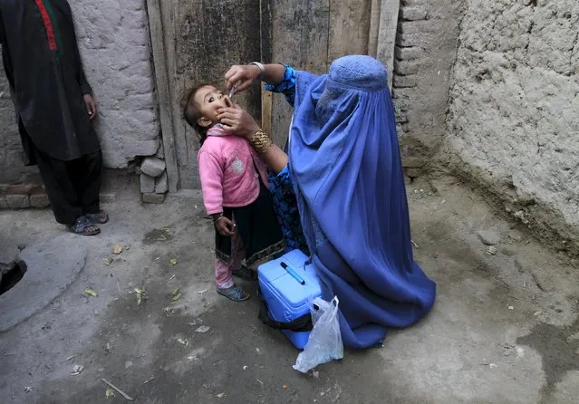 A child receives a polio vaccination during an anti-polio campaign on the outskirts of Jalalabad, Afghanistan, December 1, 2015. (Photo by Reuters/Parwiz)