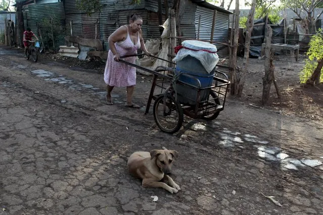 A woman pushes her cart, as she collects potable water from a public well on the outskirts of Managua March 20, 2015. (Photo by Oswaldo Rivas/Reuters)