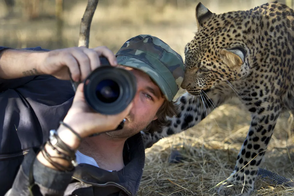 Animals Mob Photographers