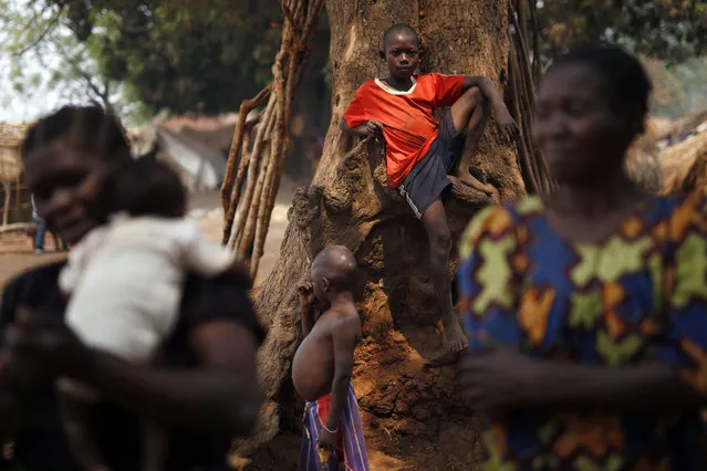 Christian families living in a refugee camp stand under a tree in Kaga-Bandoro, Central African Republic, Tuesday February 16,  2016. (Photo by Jerome Delay/AP Photo)