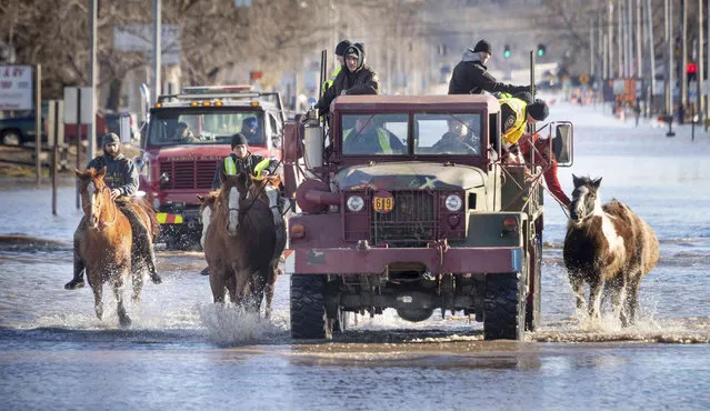 Horses that were being boarded in Inglewood, Neb., are moved through floodwaters to higher ground in Fremont Neb., Friday, March 15, 2019. The flooding followed days of snow and rain – record-setting, in some places – that swept through the West and Midwest. (Photo by Kent Sievers/Omaha World-Herald via AP Photo)