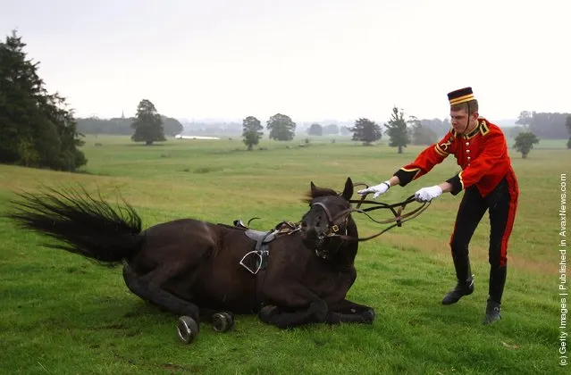 The Household Cavalry Prepare At Floors Castle Ahead Of Massed Pipe Bands Day