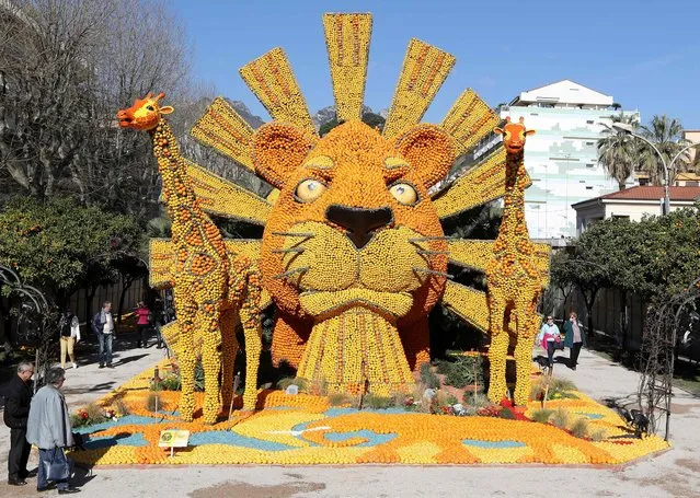 People walk next to the sculpture named “Roi Lion” (Lion King) made with lemons and oranges during the 84 th Lemon Festival, on February 20, 2017 in Menton, southeastern France. The “Broadway” themed festival runs from February 11 to March 1, 2017. (Photo by Valery Hache//AFP Photo)