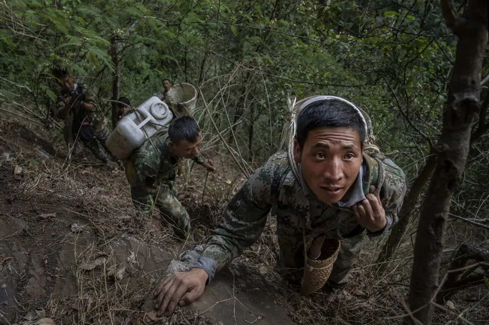 Yunnan Honey Hunters