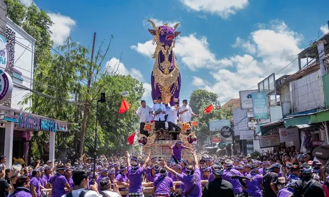 Balinese people transport a sarcophagus in the form of a bull in a procession during the grand royal cremation of Tjokorda Bagus Santaka, a Ubud royal family member, in Ubud, Bali, Indonesia, 14 April 2024. Pelebon ceremony is held to bid farewell to the deceased and release their soul from the physical body. The centerpiece of the ceremony is the ornate funeral tower called the “Bade”, which carries the body to the cremation site during a grand procession accompanied by musicians, dancers, and mourners. The ceremony reflects the Balinese belief in the cyclical nature of life and death and involves community participation to honor the departed's journey to the afterlife. (Photo by Made Nagi/EPA/EFE)