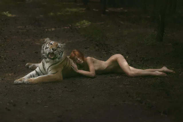 Russian photographer takes stunning images with real animals. (Photo by Katerina Plotnikova)