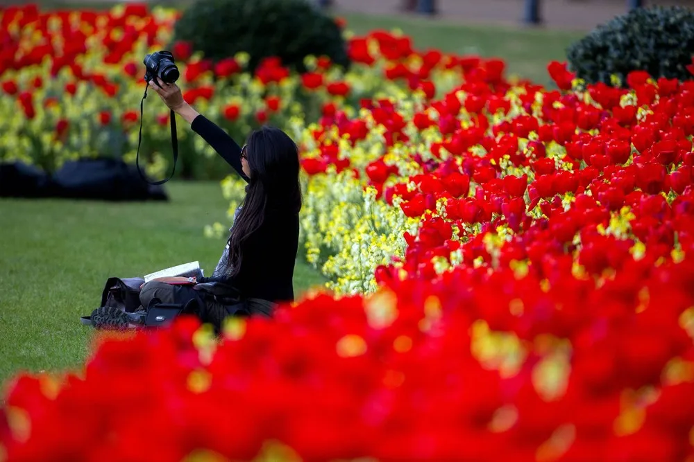 Simply Some Photos: In Flowers