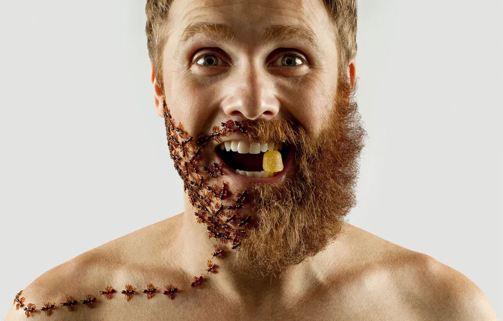 Beard Project by Adrian Alarcon