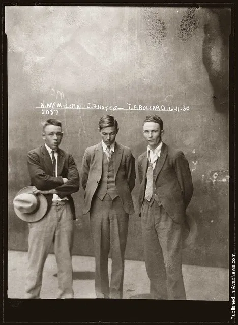 Eddie McMillan, John Frederick 'Chow' Hayes, Thomas Esmond Bollard, Special Photograph number 2057, 6 November 1930, Central Police Station, Sydney