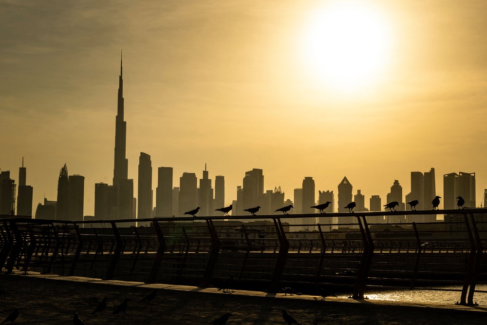 Some Photos: Silhouettes