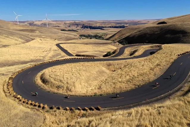 Skateboarders ride down the Maryhill Loops Road during the Maryhill Ratz Freeride on September 04, 2022 in Maryhill, Washington. The Maryhill Ratz Freeride is held on the historic Maryhill Loops Road, which was the first paved road in the state, built as an experiment for Model T cars in 1912. The event attracts riders from all over the country, and a few from around the globe, that want a chance to ride the famous road. The first race on the Maryhill Loops road was held in 2000 by Extreme Downhill International, and there has been events there ever since. The Maryhill Ratz, which is run by Dean Ozuna, started running the events on this road in 2007.   (Photo by Ezra Shaw/Getty Images/AFP Photo)