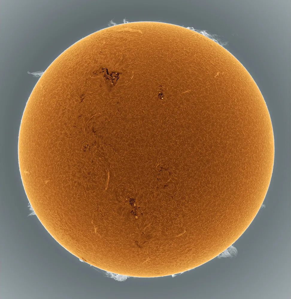 The Sun by Alan Friedman