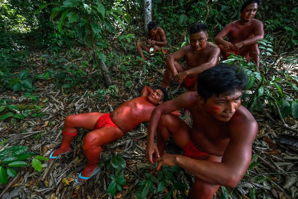 Waiapi Tribe against Amazon Invaders