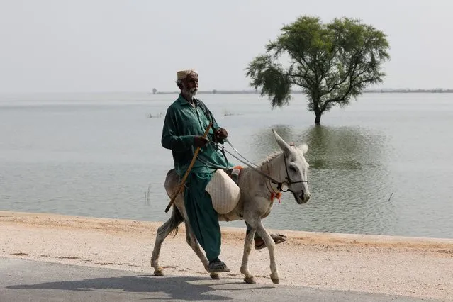A man, who become displaced, ride on a donkey, past a submerged tree, following rains and floods during the monsoon season in Sehwan, Pakistan on September 14, 2022. (Photo by Akhtar Soomro/Reuters)