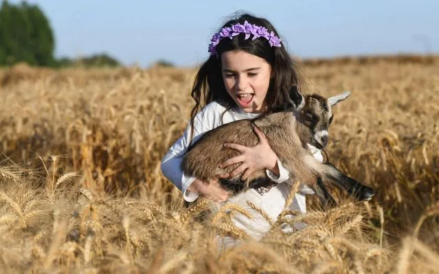 An Israeli girl plays in a wheat field ahead of the Jewish holiday of Shavuot in Hafetz Haim, Israel, on May 28, 2020. (Photo by JINI via  Xinhua News Agency/Alamy Live News)