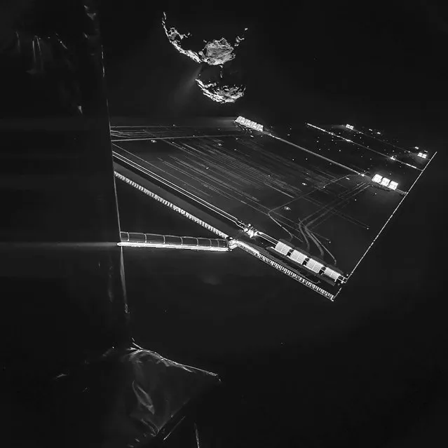 An unmanned probe that will next month attempt to become the first spacecraft to land on a comet has sent back a photo of its intended target. The image captures the side of the Rosetta spacecraft and one of its 46-foot-long solar wings, with comet 67P/Churyumov-Gerasimenko visible in the background at a distance of ten miles. (Photo by ESA/Rosetta/Philae/CIVA via AFP Photo)