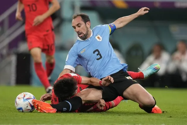 South Korea's Hwang Ui-jo and Uruguay's Diego Godin fall as they vie for the ball during the World Cup group H soccer match between Uruguay and South Korea, at the Education City Stadium in Al Rayyan , Qatar, Thursday, November 24, 2022. (Photo by Frank Augstein/AP Photo)