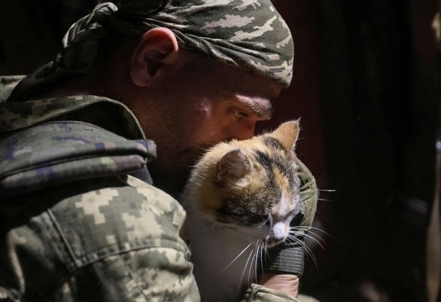 A serviceman of Ukraine's 49th Separate Assault Battalion Carpathian Sich pets a cat as he rests at his frontline position, near the town of Toretsk, Donetsk region, Ukraine on April 7, 2025. (Photo by Anatolii Stepanov/Reuters)