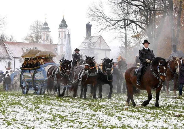 Farmers in traditional Bavarian costumes steer a wooden carriage on the way to the chapel on the Kalvarienberg in Bad Toelz, during the Leonhard procession November 6, 2014. (Photo by Michaela Rehle/Reuters)