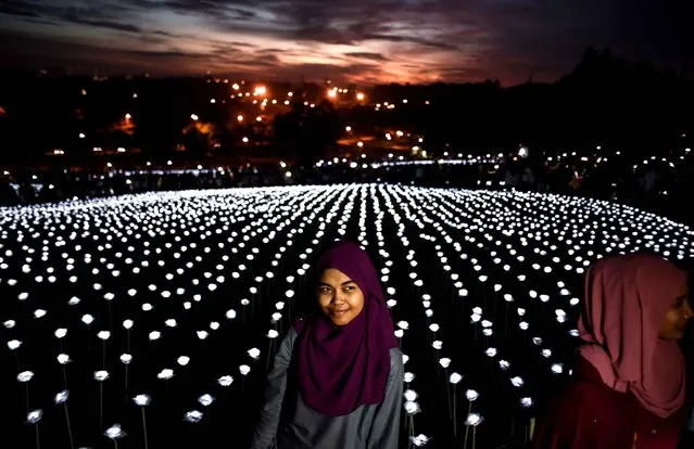 Malaysian residents pose for photographs against the backdrop of LED white roses at the Malaysia Agro Exposition Park in Serdang outside of Kuala Lumpur on September 16, 2016. 30,000 Light Emitting Diode (LED) white roses are part of an installation named “Light Sensation” aimed to promote unity and celebrate Malaysia Day. (Photo by Manan Vatsyayana/AFP Photo)