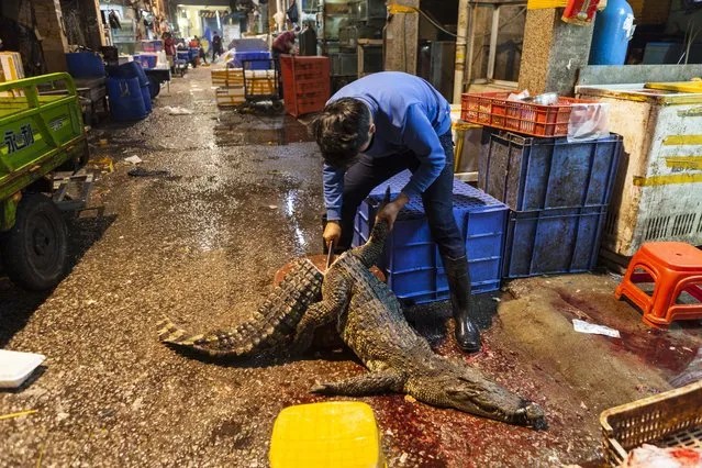 A man chops and cleans a purchased crocodile on Huangsha Seafood Market in Guangzhou, Guandong Province, China, 18 January 2018. (Photo by Aleksandar Plavevski/EPA/EFE)