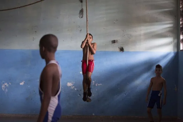 Children exercises before a wrestling lesson on the outskirts of Havana, November 1, 2014. (Photo by Alexandre Meneghini/Reuters)