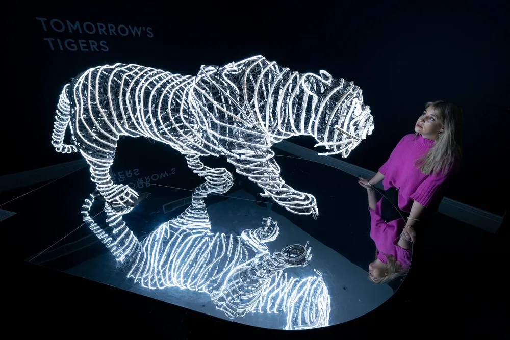 Some Photos: Contemporary Art