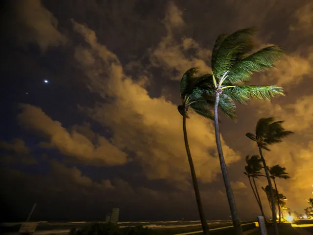 Wind whips the palms on Midtown Beach in Palm Beach, Florida as Venus and Mars glow over the ocean before dawn on October 19, 2015. Wind gusts of more than 30 mph are expected today and through early tomorrow as a cool front moves down and vies for control with a low pressure system in the Gulf of Mexico. (Photo by Lannis Waters/The Palm Beach Post via ZUMA Wire)