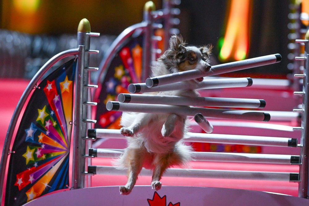 Some Photos: In Motion