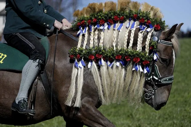 A festive decorated horse is on its way to get blessing for men and beasts at the St. George church in Traunstein, Germany, Monday, April 2, 2018. (Photo by Matthias Schrader/AP Photo)