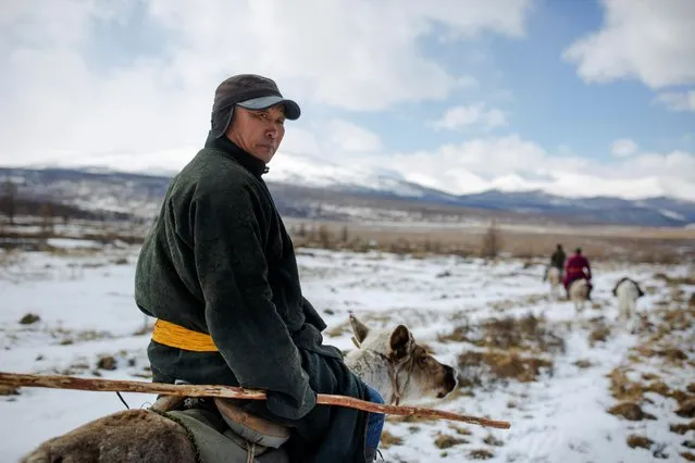 Local doctor Davaajav Nyamaa rides a reindeer to visit nomads in the forest near the village of Tsagaannuur, Khovsgol aimag, Mongolia, April 19, 2018. Nyamaa is an ethnic Darkhad, herders of northern Mongolia who have historically inhabited the steppe that borders the Taiga forests. He grew up around the Dukha, whom he visits as a doctor for checkups and treatments in their tents on a regular basis. (Photo by Thomas Peter/Reuters)