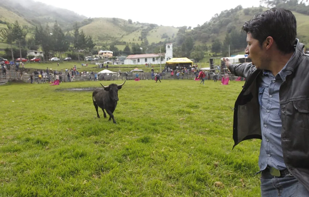 Ecuadorian Bullfighting